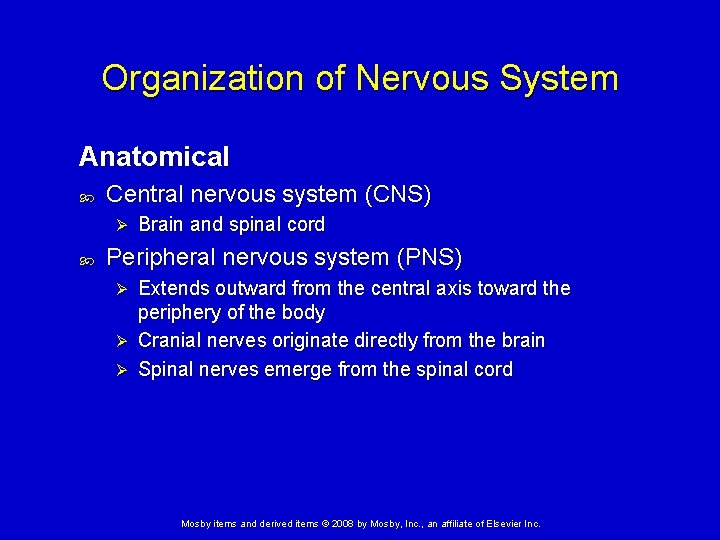 Organization of Nervous System Anatomical Central nervous system (CNS) Ø Brain and spinal cord Organization of Nervous System Anatomical Central nervous system (CNS) Ø Brain and spinal cord