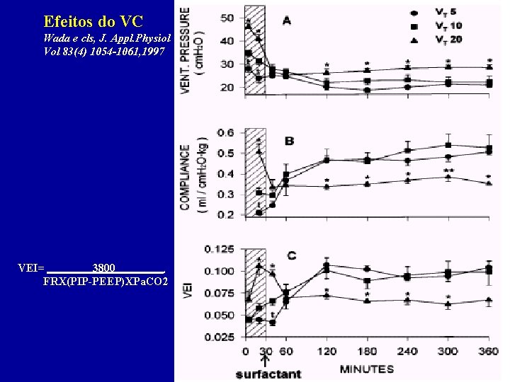 Efeitos do VC Wada e cls, J. Appl. Physiol Vol 83(4) 1054 -1061, 1997