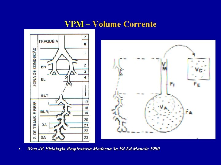 VPM – Volume Corrente • West JB Fisiologia Respiratória Moderna 3 a. Ed Ed.