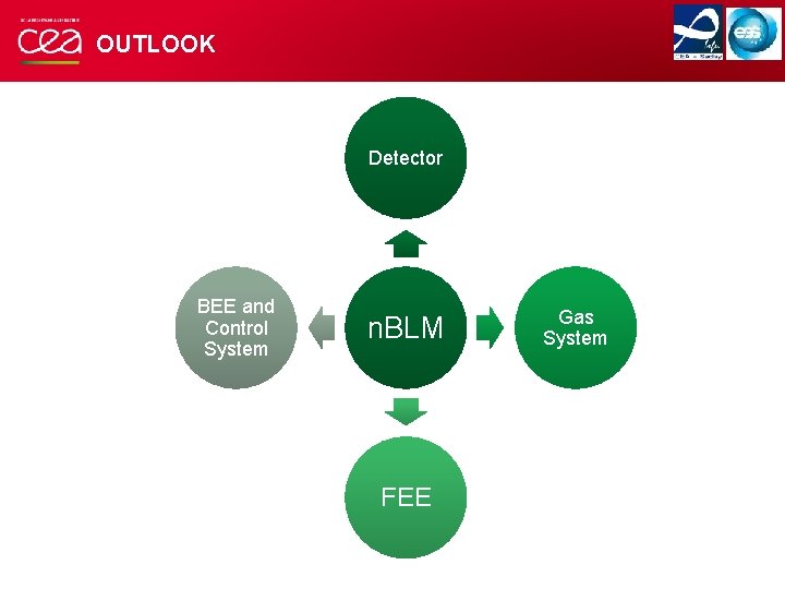 OUTLOOK Detector BEE and Control System n. BLM FEE Gas System 