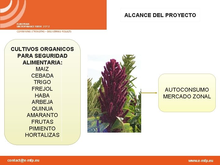 ALCANCE DEL PROYECTO CULTIVOS ORGANICOS PARA SEGURIDAD ALIMENTARIA: MAIZ CEBADA TRIGO FREJOL HABA ARBEJA