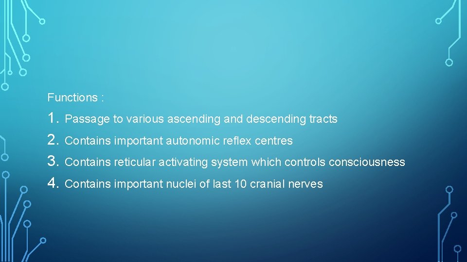 Functions : 1. 2. 3. 4. Passage to various ascending and descending tracts Contains
