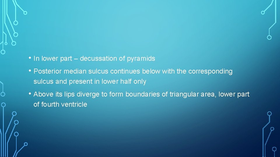  • In lower part – decussation of pyramids • Posterior median sulcus continues