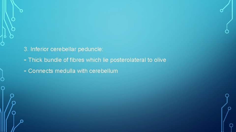 3. Inferior cerebellar peduncle: - Thick bundle of fibres which lie posterolateral to olive