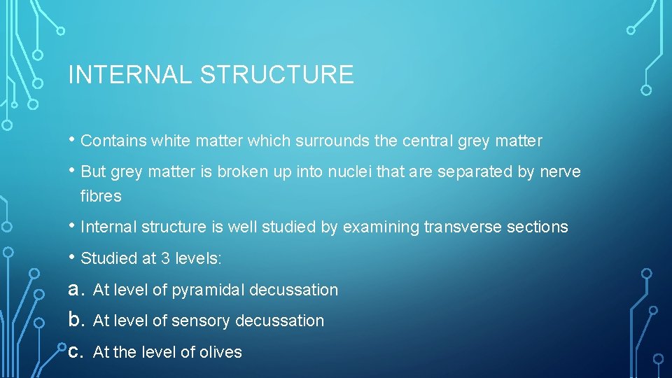 INTERNAL STRUCTURE • Contains white matter which surrounds the central grey matter • But