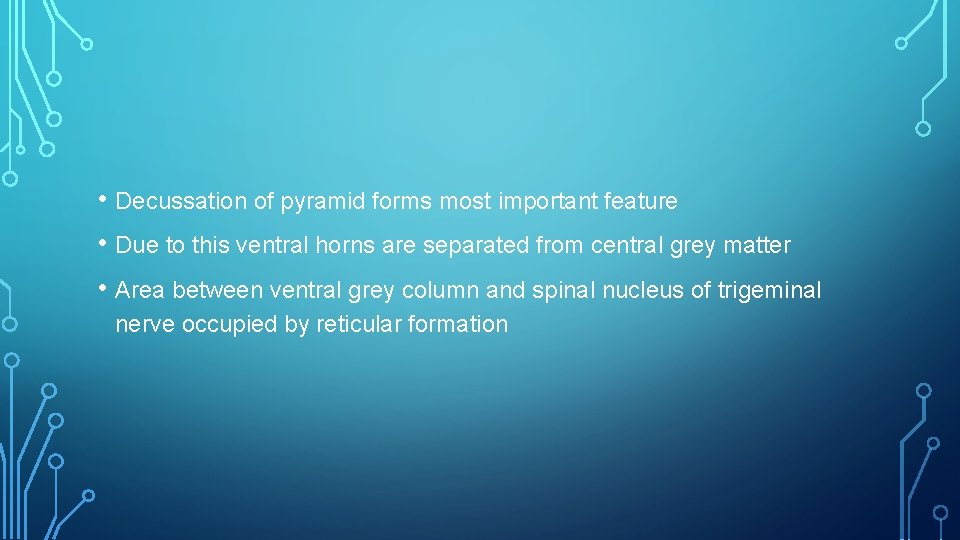  • Decussation of pyramid forms most important feature • Due to this ventral