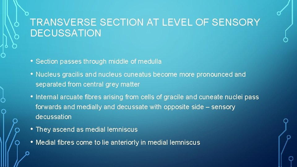 TRANSVERSE SECTION AT LEVEL OF SENSORY DECUSSATION • Section passes through middle of medulla