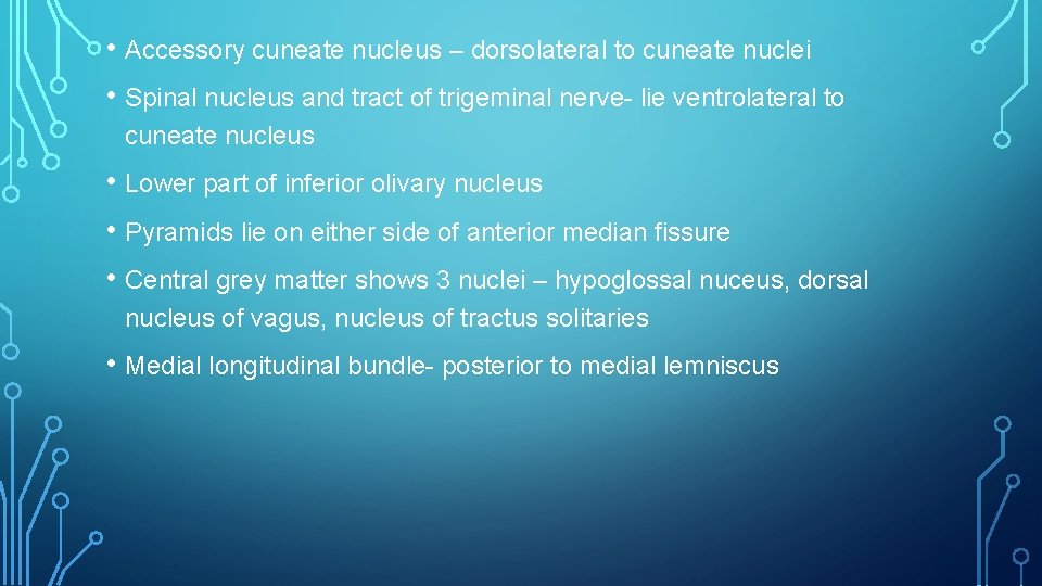  • Accessory cuneate nucleus – dorsolateral to cuneate nuclei • Spinal nucleus and