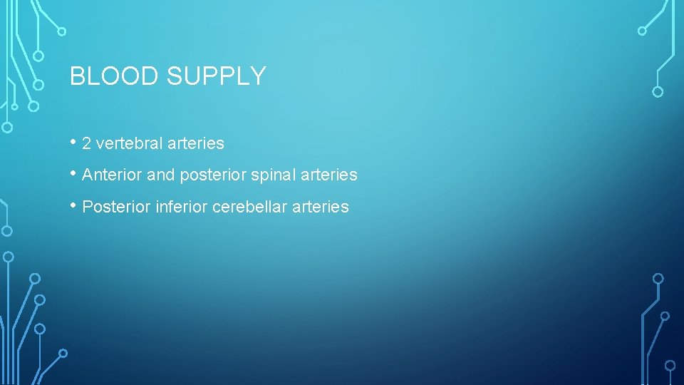 BLOOD SUPPLY • 2 vertebral arteries • Anterior and posterior spinal arteries • Posterior