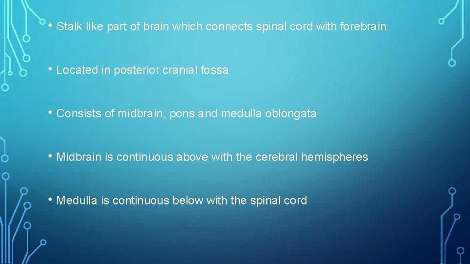  • Stalk like part of brain which connects spinal cord with forebrain •