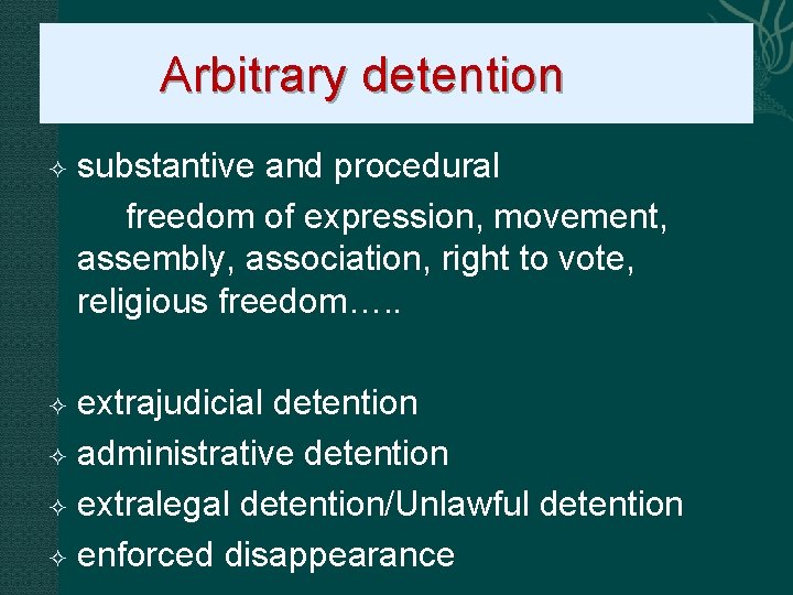  Arbitrary detention substantive and procedural freedom of expression, movement, assembly, association, right to
