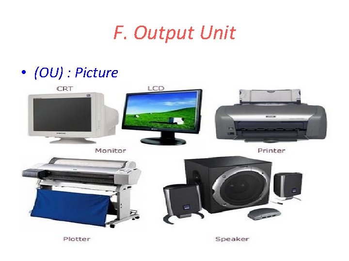 F. Output Unit • (OU) : Picture F. Output Unit • (OU) : Picture