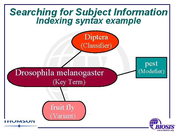 Searching for Subject Information Indexing syntax example Diptera (Classifier) Drosophila melanogaster (Key Term) fruit