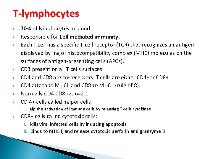 T-lymphocytes 70% of lymphocytes in blood. Responsible for Cell mediated immunity. Each T cell