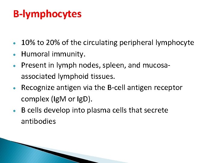 B-lymphocytes 10% to 20% of the circulating peripheral lymphocyte Humoral immunity. Present in lymph