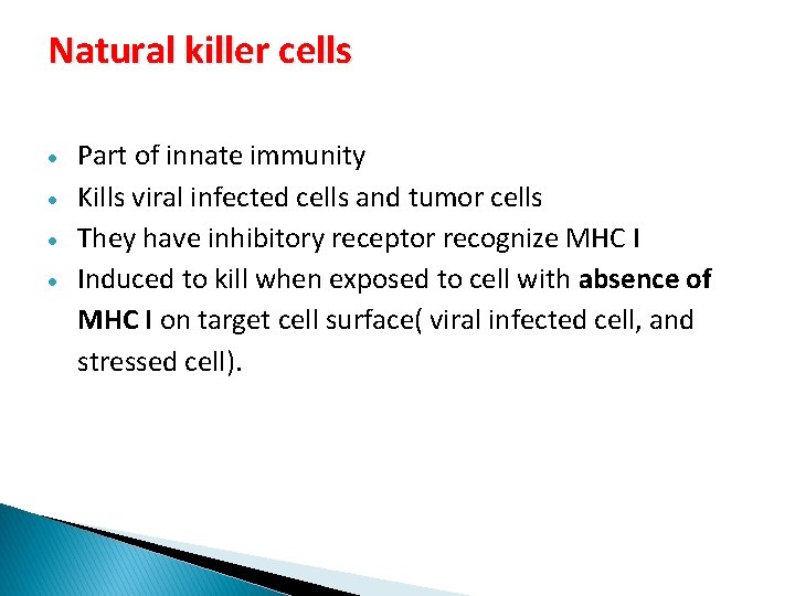 Natural killer cells Part of innate immunity Kills viral infected cells and tumor cells