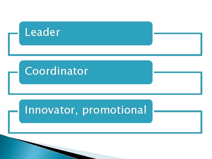 Leader Coordinator Innovator, promotional 