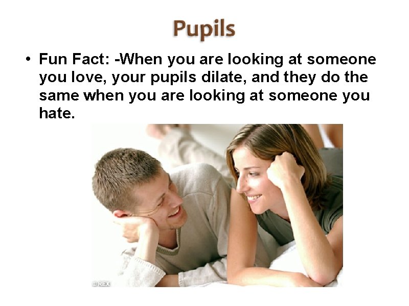  • Fun Fact: -When you are looking at someone you love, your pupils