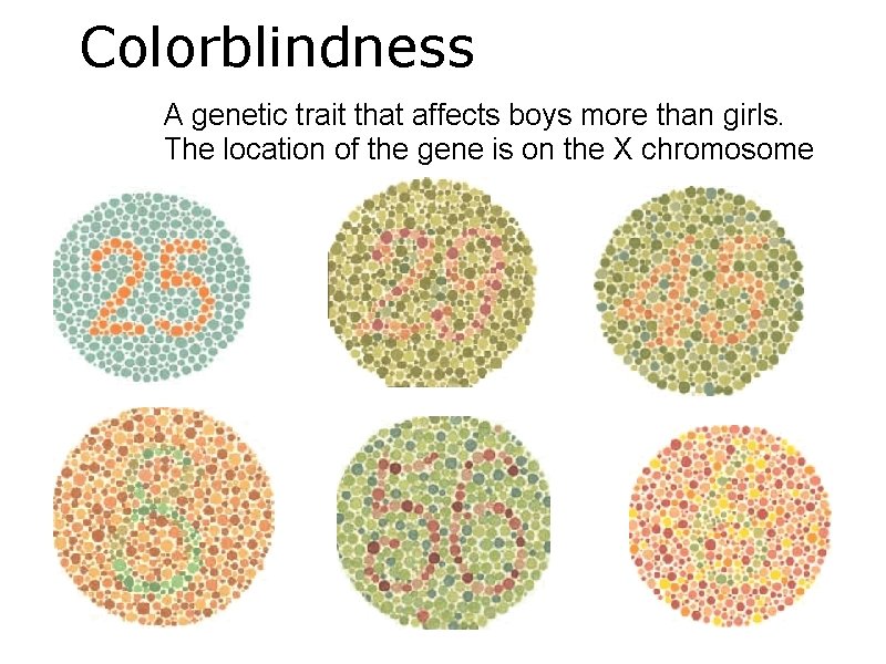 Colorblindness A genetic trait that affects boys more than girls. The location of the