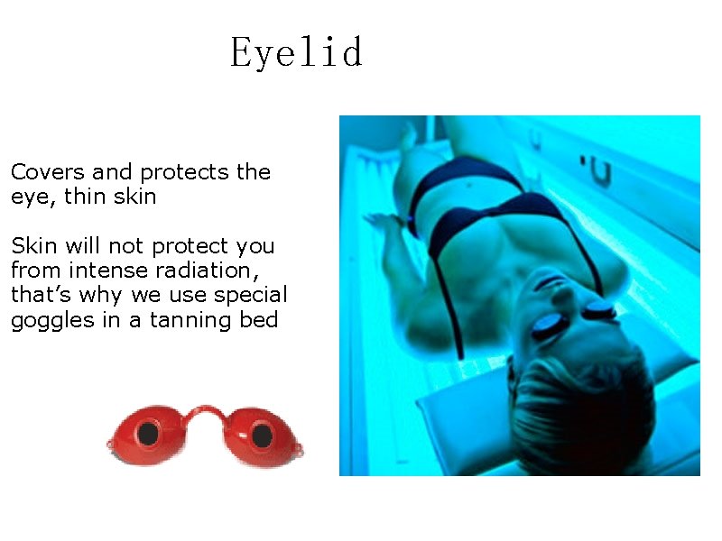 Eyelid Covers and protects the eye, thin skin Skin will not protect you from