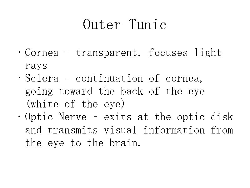 Outer Tunic • Cornea - transparent, focuses light rays • Sclera – continuation of