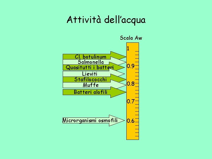 Attività dell’acqua Scala Aw 1 Cl. botulinum Salmonella Quasitutti i batteri Lieviti Stafilococchi Muffe