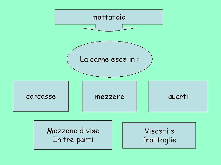 mattatoio La carne esce in : carcasse mezzene Mezzene divise In tre parti quarti