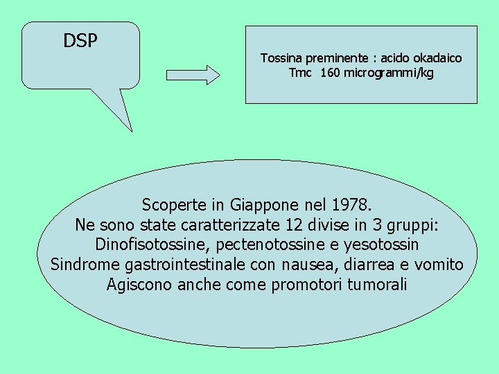 DSP Tossina preminente : acido okadaico Tmc 160 microgrammi/kg Scoperte in Giappone nel 1978.
