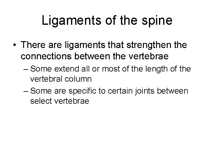 Ligaments of the spine • There are ligaments that strengthen the connections between the