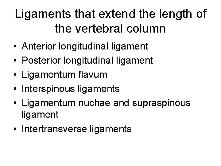 Ligaments that extend the length of the vertebral column • • • Anterior longitudinal