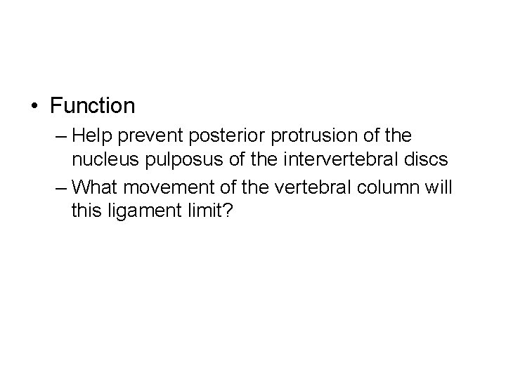  • Function – Help prevent posterior protrusion of the nucleus pulposus of the