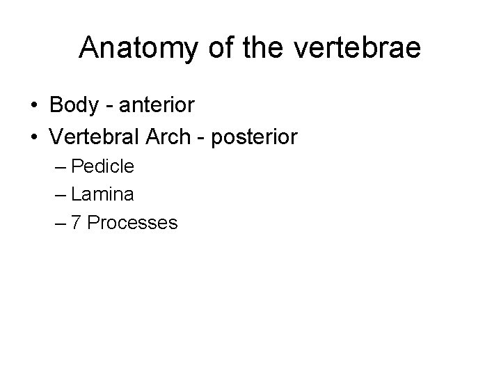 Anatomy of the vertebrae • Body - anterior • Vertebral Arch - posterior –