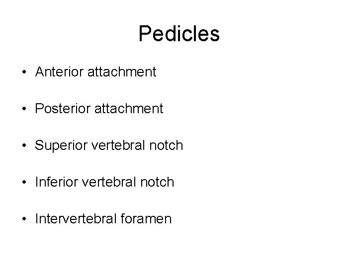 Pedicles • Anterior attachment • Posterior attachment • Superior vertebral notch • Inferior vertebral