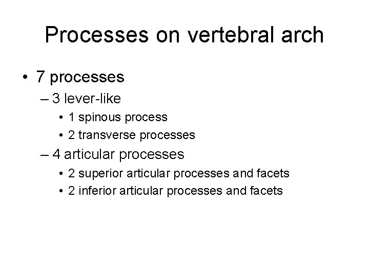 Processes on vertebral arch • 7 processes – 3 lever-like • 1 spinous process