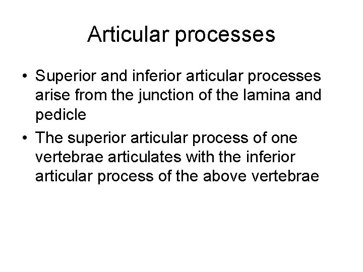 Articular processes • Superior and inferior articular processes arise from the junction of the