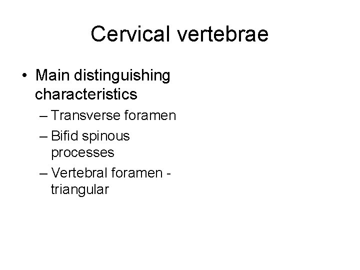 Cervical vertebrae • Main distinguishing characteristics – Transverse foramen – Bifid spinous processes –