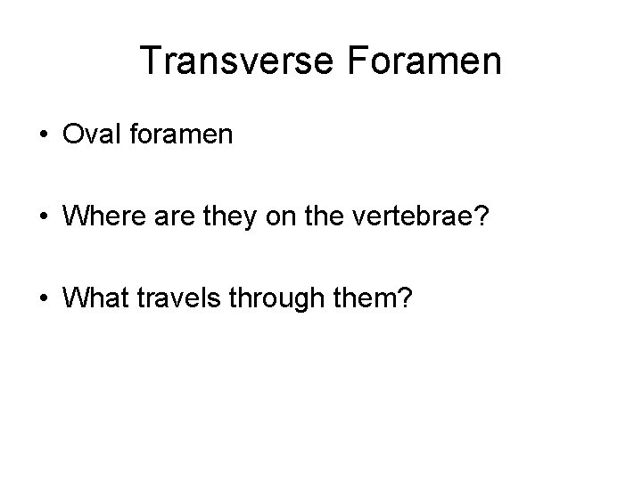 Transverse Foramen • Oval foramen • Where are they on the vertebrae? • What