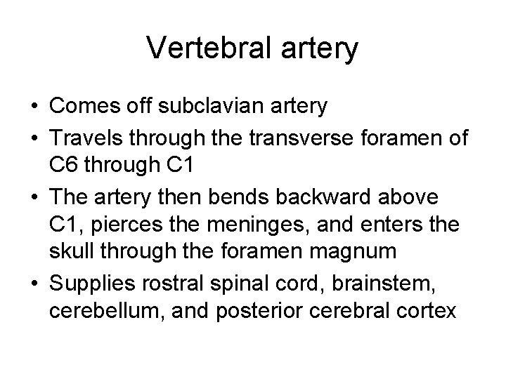 Vertebral artery • Comes off subclavian artery • Travels through the transverse foramen of