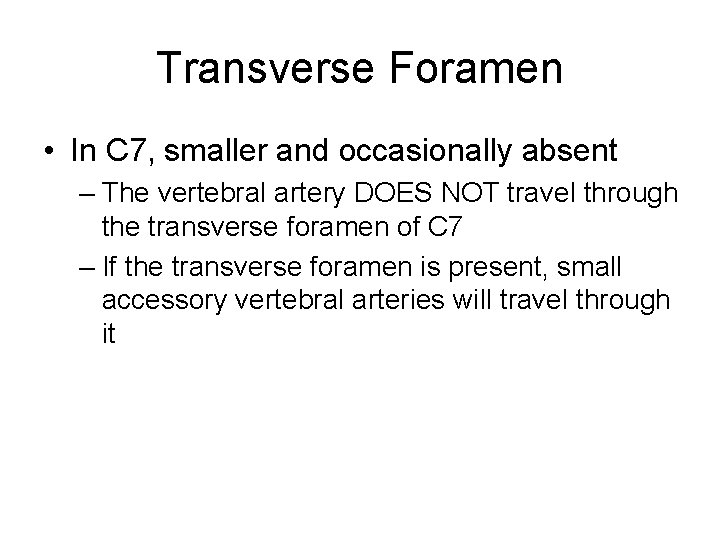 Transverse Foramen • In C 7, smaller and occasionally absent – The vertebral artery