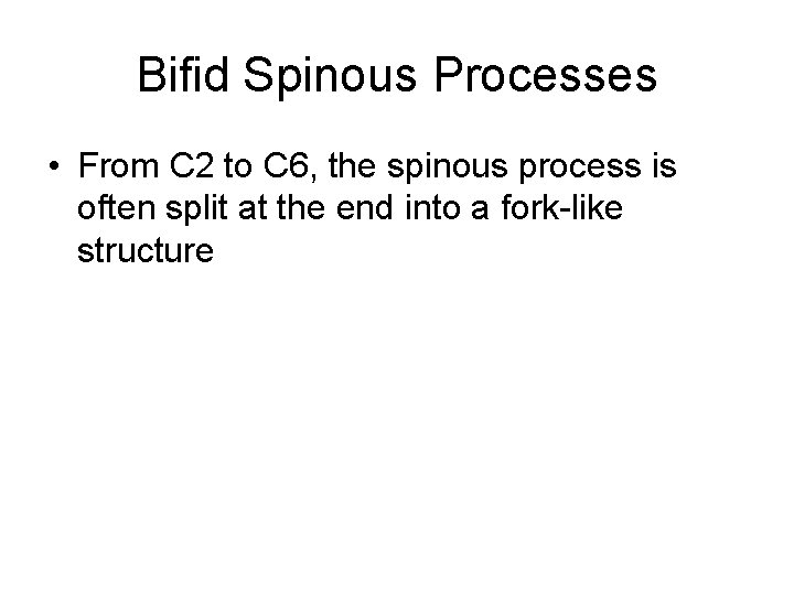 Bifid Spinous Processes • From C 2 to C 6, the spinous process is