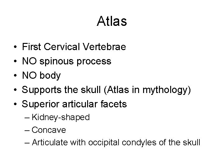 Atlas • • • First Cervical Vertebrae NO spinous process NO body Supports the