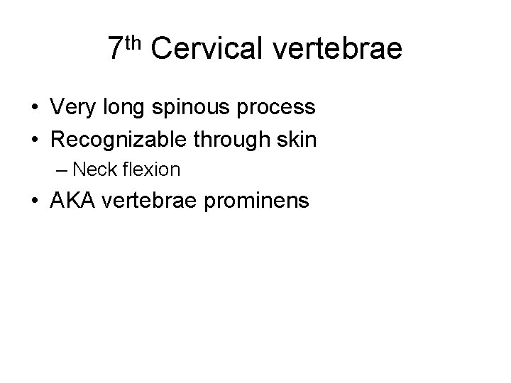 7 th Cervical vertebrae • Very long spinous process • Recognizable through skin –