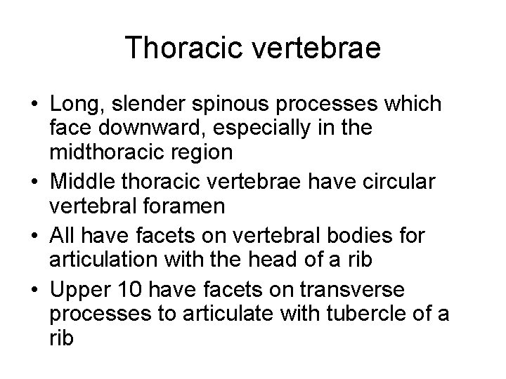 Thoracic vertebrae • Long, slender spinous processes which face downward, especially in the midthoracic