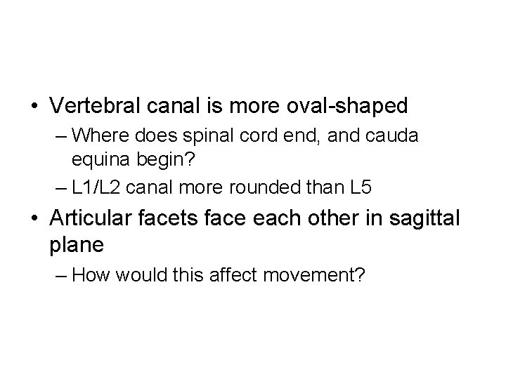  • Vertebral canal is more oval-shaped – Where does spinal cord end, and