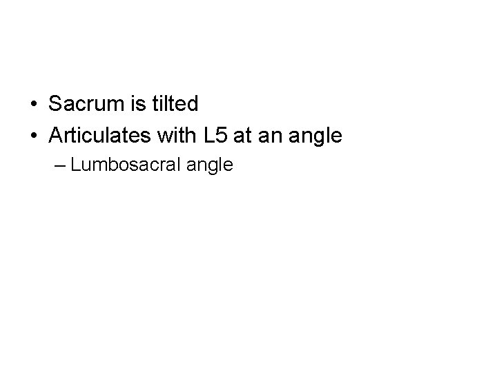  • Sacrum is tilted • Articulates with L 5 at an angle –