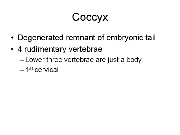 Coccyx • Degenerated remnant of embryonic tail • 4 rudimentary vertebrae – Lower three