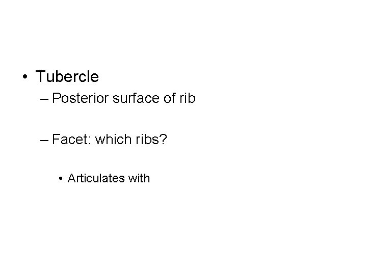  • Tubercle – Posterior surface of rib – Facet: which ribs? • Articulates