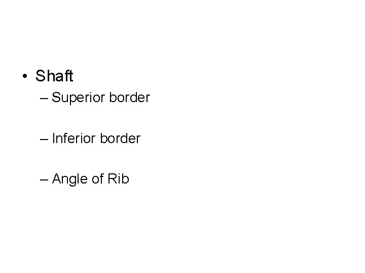  • Shaft – Superior border – Inferior border – Angle of Rib 