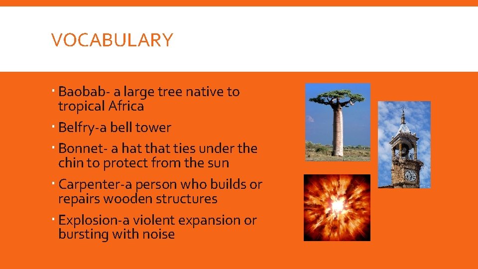 VOCABULARY Baobab- a large tree native to tropical Africa Belfry-a bell tower Bonnet- a