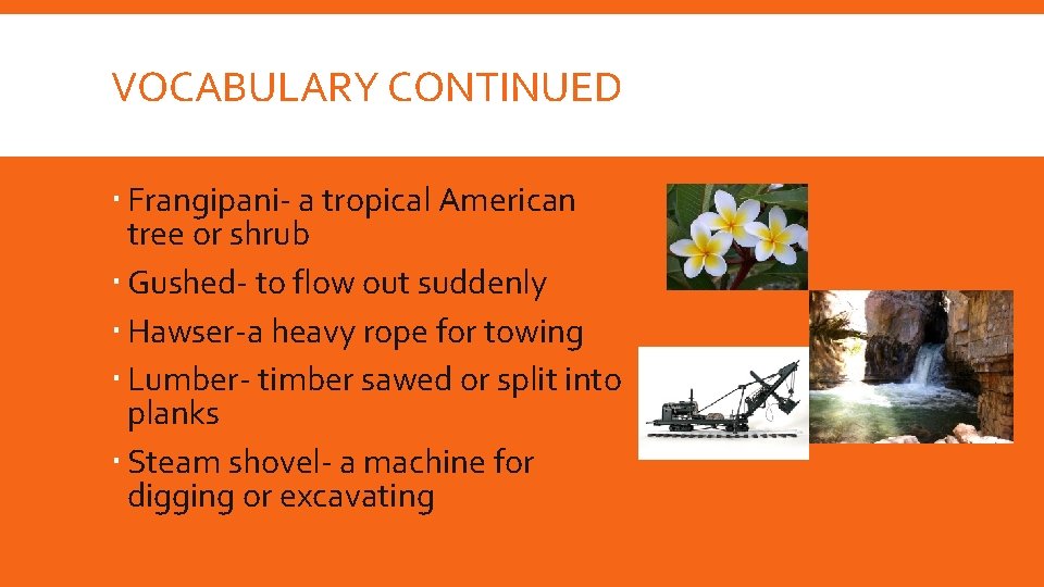 VOCABULARY CONTINUED Frangipani- a tropical American tree or shrub Gushed- to flow out suddenly